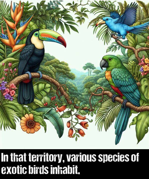 inhabit: In that territory, various species of exotic birds inhabit.