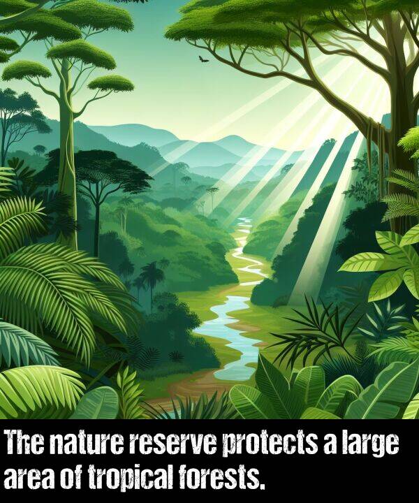 large: The nature reserve protects a large area of tropical forests.