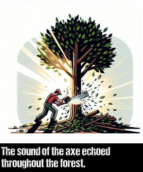 forest: The sound of the axe echoed throughout the forest.