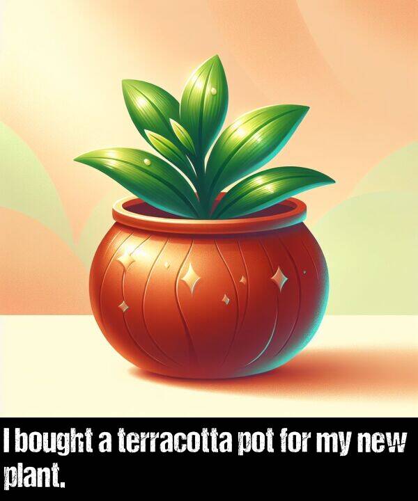 new: I bought a terracotta pot for my new plant.