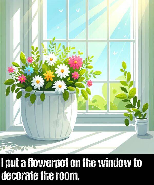 window: I put a flowerpot on the window to decorate the room.