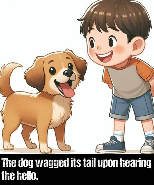 hello: The dog wagged its tail upon hearing the hello.