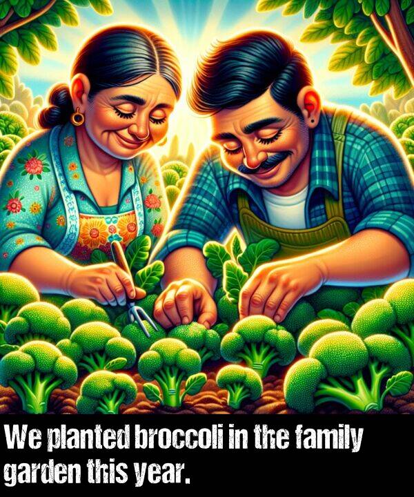 broccoli: We planted broccoli in the family garden this year.