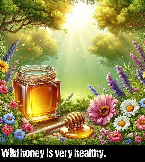 very: Wild honey is very healthy.