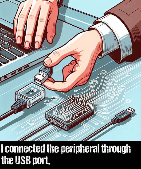 port: I connected the peripheral through the USB port.