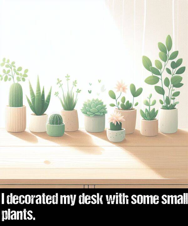 small: I decorated my desk with some small plants.