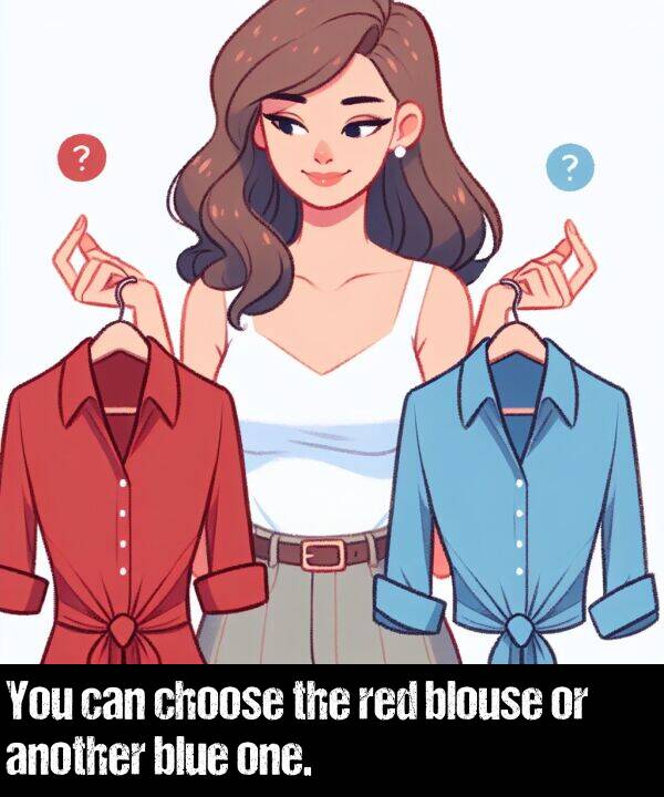 blouse: You can choose the red blouse or another blue one.