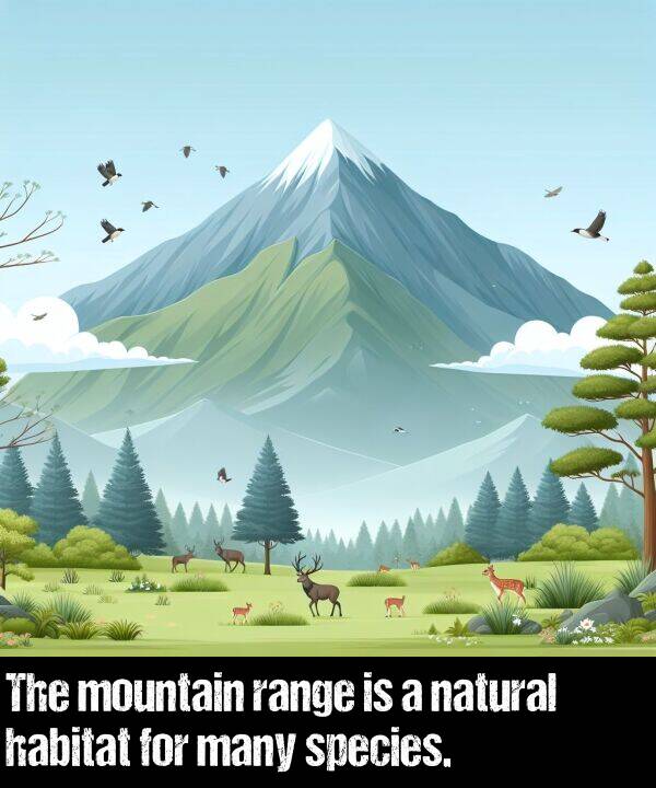 range: The mountain range is a natural habitat for many species.