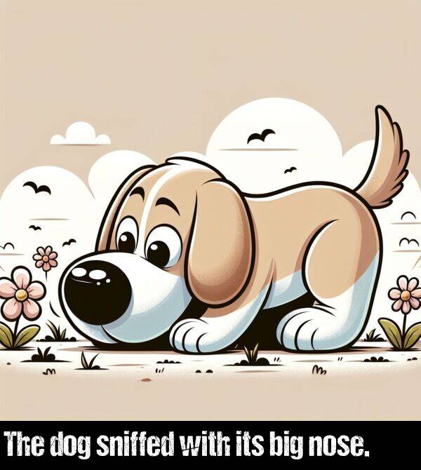 its: The dog sniffed with its big nose.