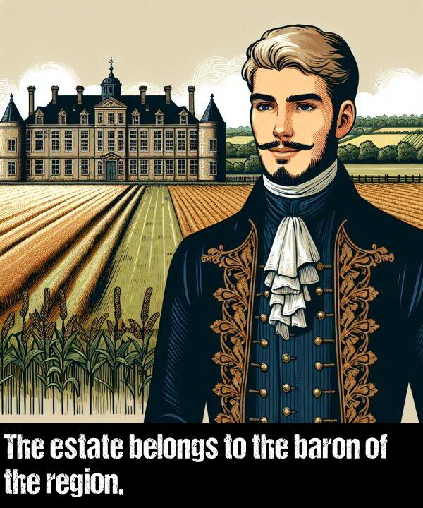 region: The estate belongs to the baron of the region.