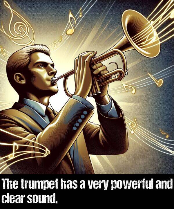 has: The trumpet has a very powerful and clear sound.