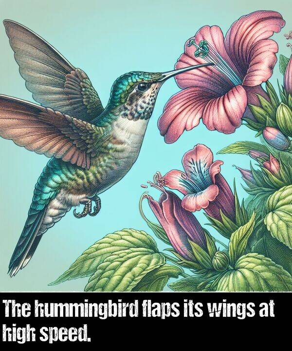 its: The hummingbird flaps its wings at high speed.