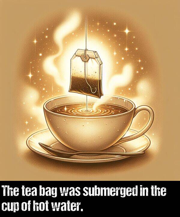 water: The tea bag was submerged in the cup of hot water.