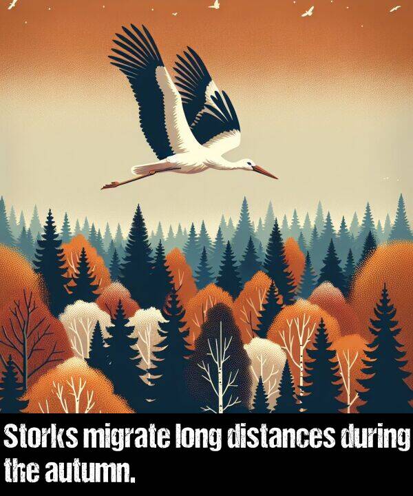 long: Storks migrate long distances during the autumn.