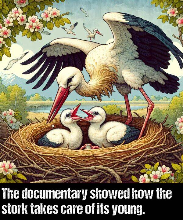 takes: The documentary showed how the stork takes care of its young.