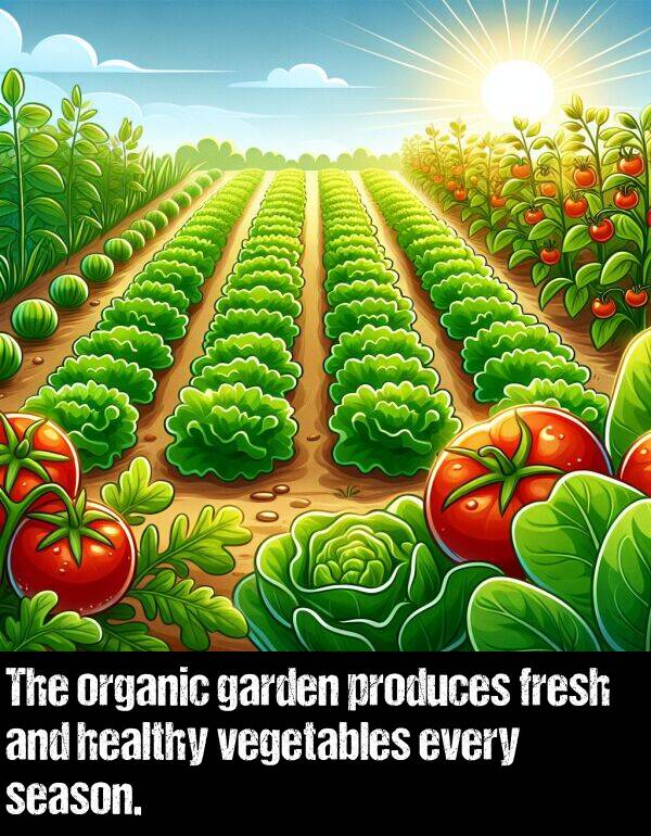 garden: The organic garden produces fresh and healthy vegetables every season.