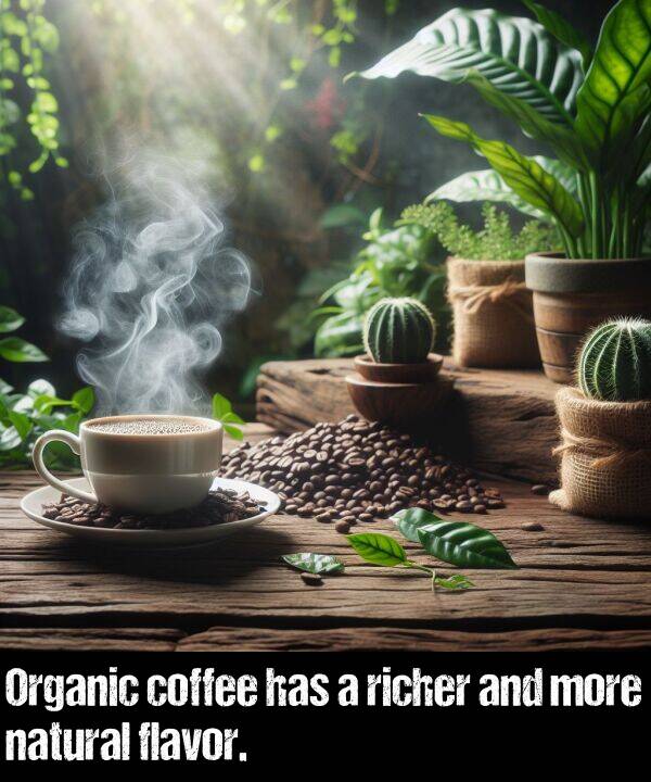 flavor: Organic coffee has a richer and more natural flavor.