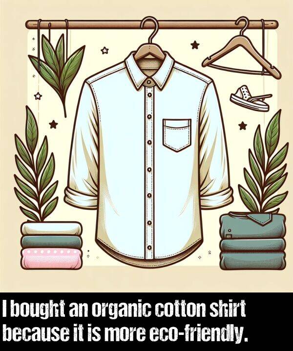 organic: I bought an organic cotton shirt because it is more eco-friendly.