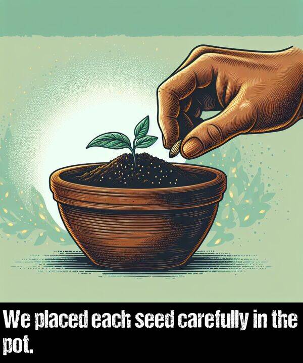 each: We placed each seed carefully in the pot.