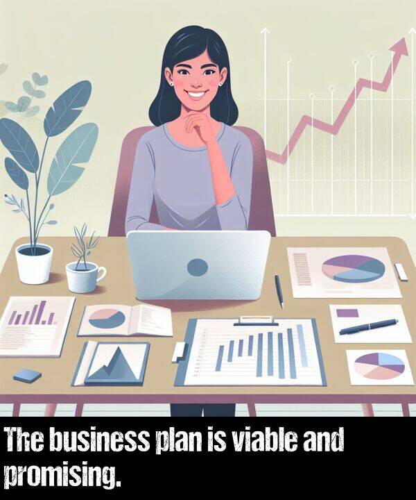 business: The business plan is viable and promising.