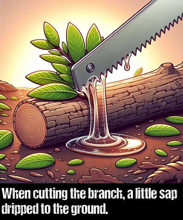 cutting: When cutting the branch, a little sap dripped to the ground.