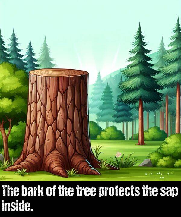 inside: The bark of the tree protects the sap inside.