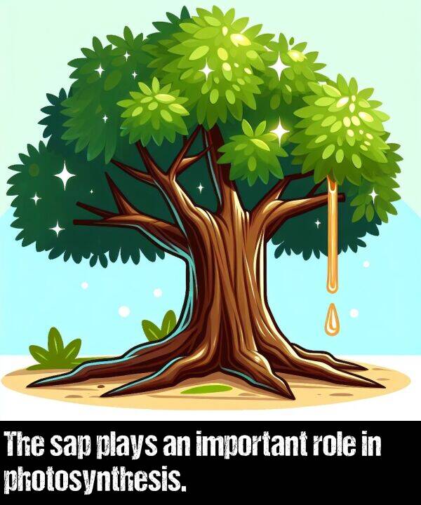 important: The sap plays an important role in photosynthesis.