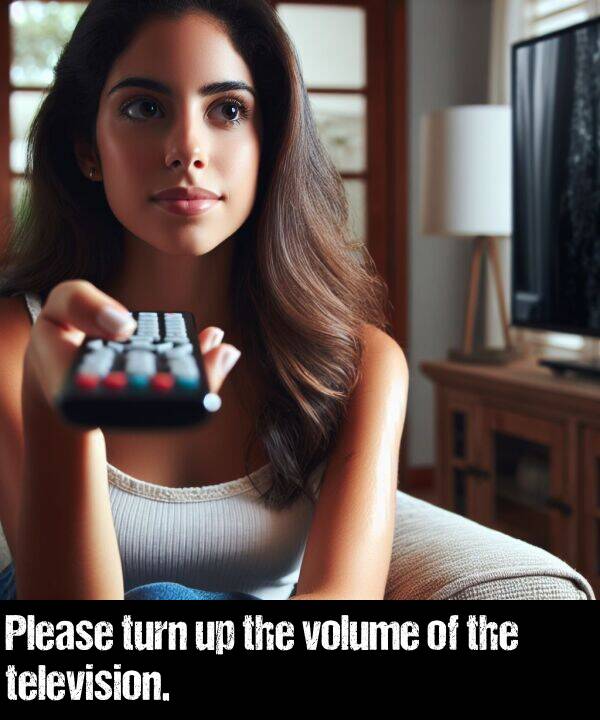 volume: Please turn up the volume of the television.