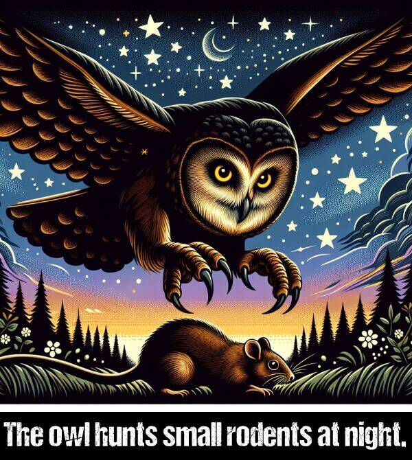 owl: The owl hunts small rodents at night.