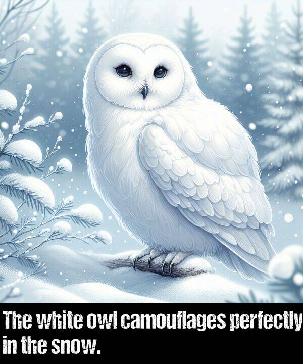 perfectly: The white owl camouflages perfectly in the snow.