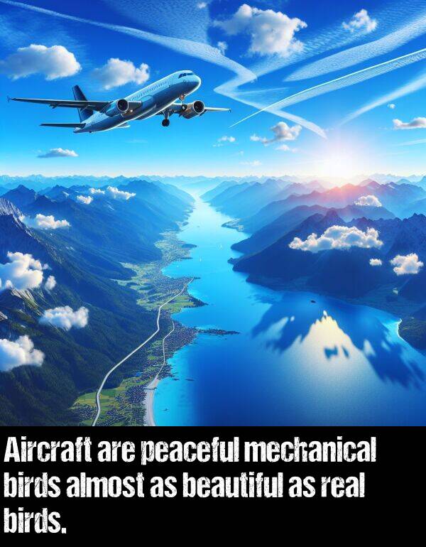 peaceful: Aircraft are peaceful mechanical birds almost as beautiful as real birds.