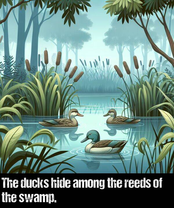 hide: The ducks hide among the reeds of the swamp.