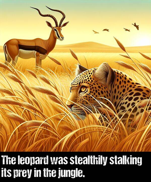 its: The leopard was stealthily stalking its prey in the jungle.