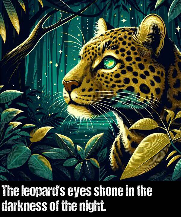 eyes: The leopard's eyes shone in the darkness of the night.