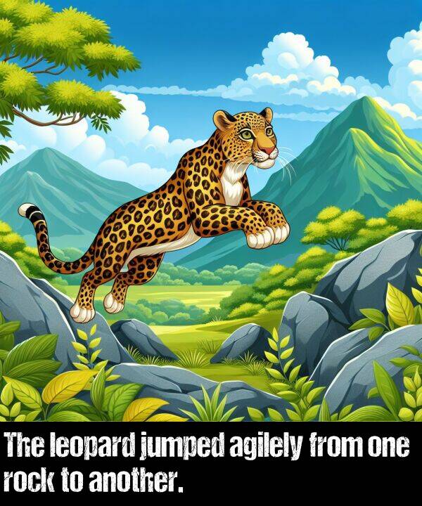 another: The leopard jumped agilely from one rock to another.