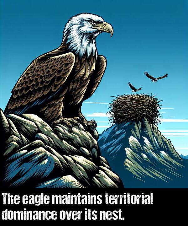 over: The eagle maintains territorial dominance over its nest.