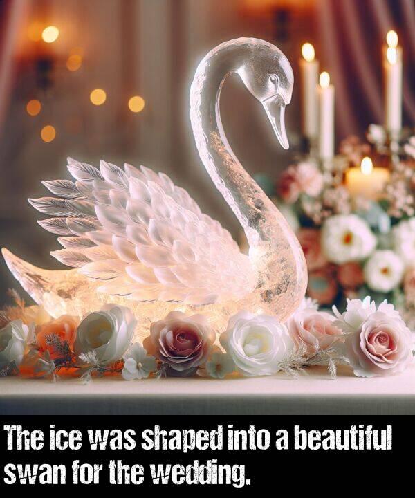 wedding: The ice was shaped into a beautiful swan for the wedding.