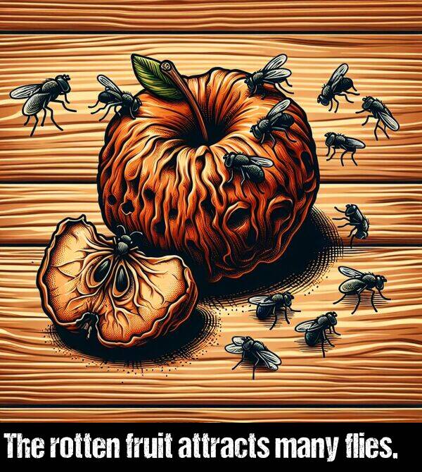 rotten: The rotten fruit attracts many flies.