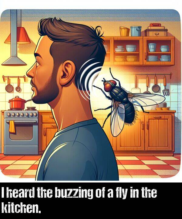 buzzing: I heard the buzzing of a fly in the kitchen.