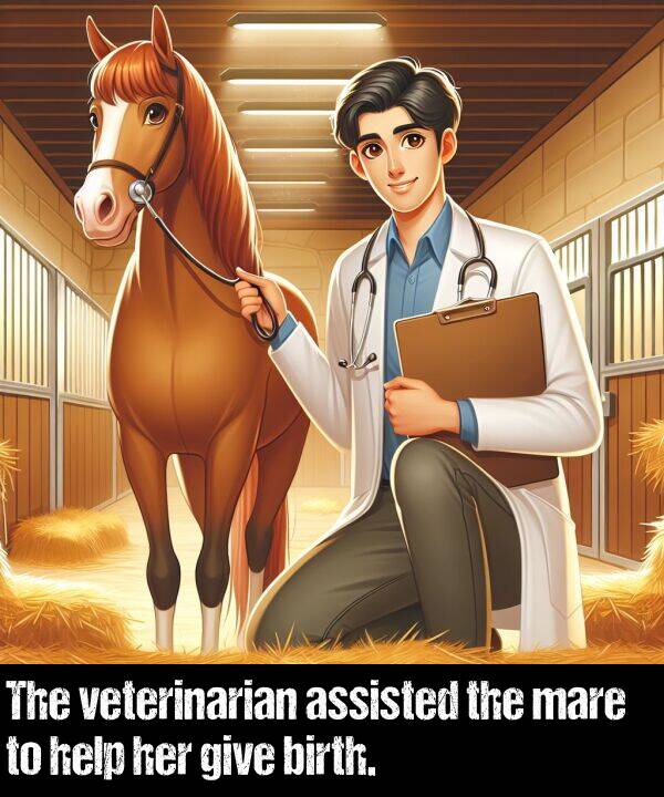 give: The veterinarian assisted the mare to help her give birth.