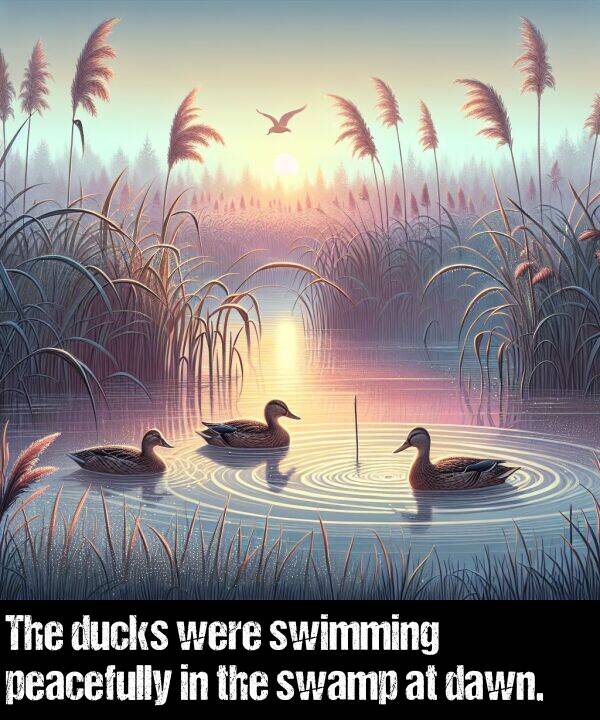 peacefully: The ducks were swimming peacefully in the swamp at dawn.