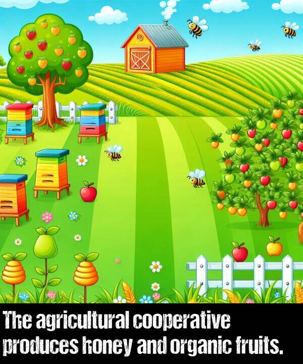 fruits: The agricultural cooperative produces honey and organic fruits.