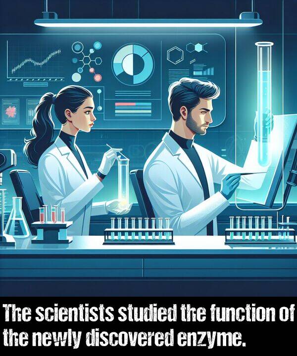 enzyme: The scientists studied the function of the newly discovered enzyme.