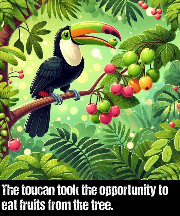 tree: The toucan took the opportunity to eat fruits from the tree.