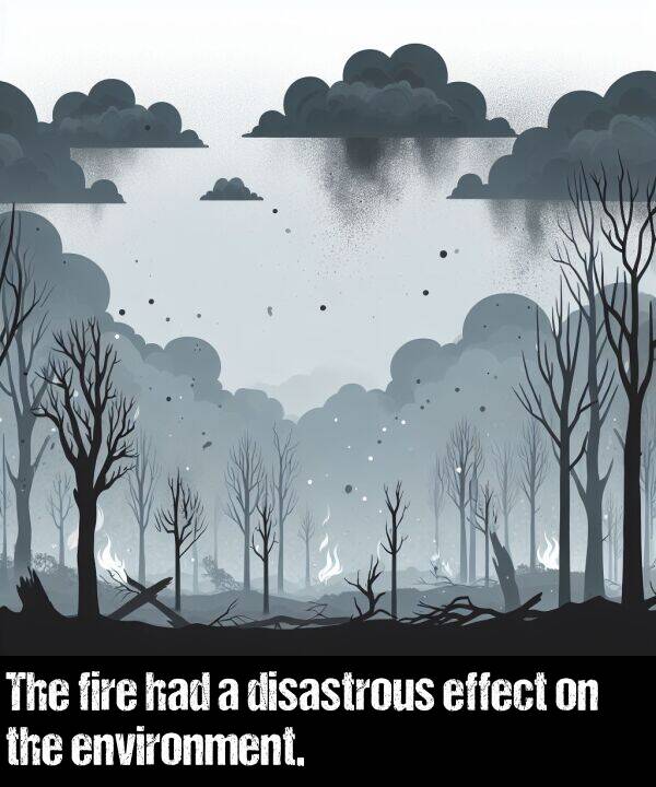 had: The fire had a disastrous effect on the environment.