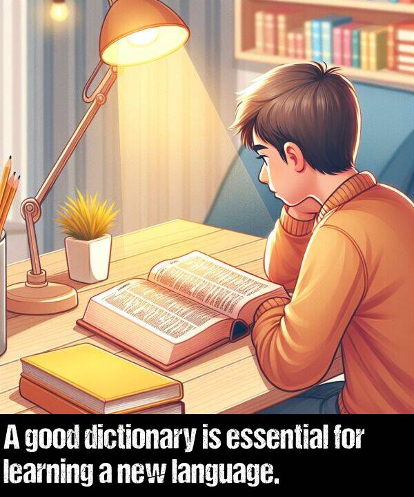 language: A good dictionary is essential for learning a new language.