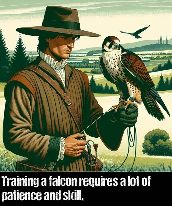 lot: Training a falcon requires a lot of patience and skill.