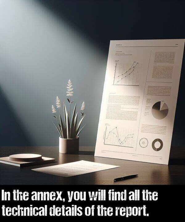 will: In the annex, you will find all the technical details of the report.