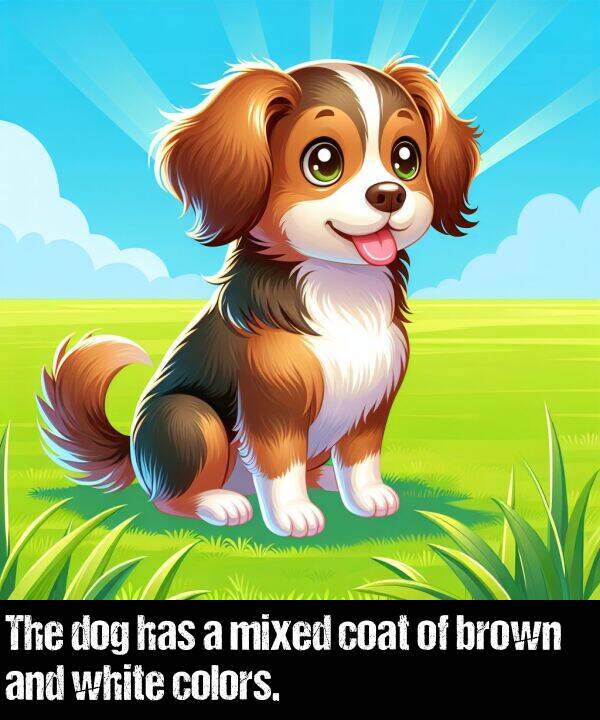 colors: The dog has a mixed coat of brown and white colors.