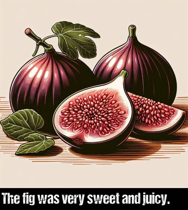 was: The fig was very sweet and juicy.